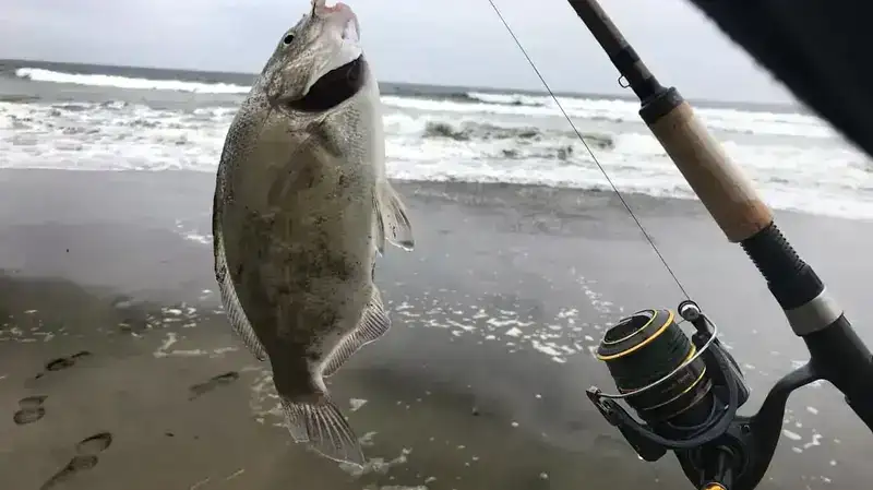 fishing Thunderonthegulf