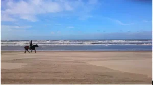 Horseback Vacations